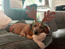 Load image into Gallery viewer, Dachshund Dog Enamel Pin