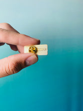 Load image into Gallery viewer, Avoca-duh! Enamel Pin